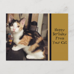 Tarjeta de felicitación de cumpleaños para tu gato