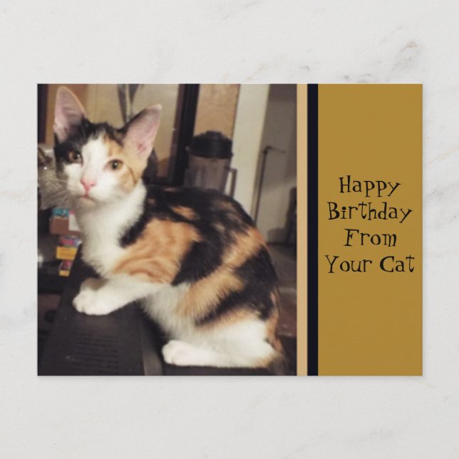 Tarjeta de felicitación de cumpleaños para tu gato (Anverso)