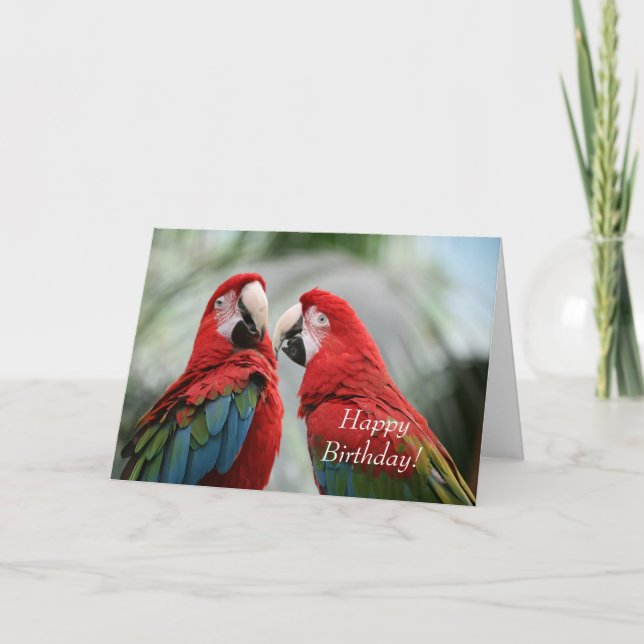 Tarjeta de felicitación de cumpleaños Parrot (Anverso)