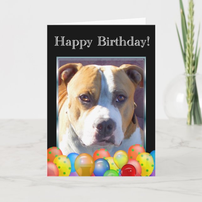 Tarjeta de felicitación de cumpleaños pitbull dog (Anverso)