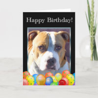 Tarjeta de felicitación de cumpleaños pitbull dog