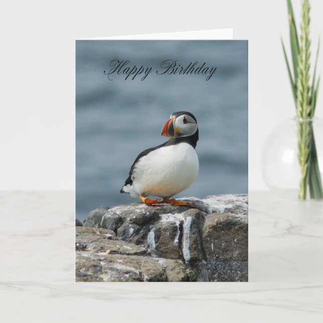Tarjeta de felicitación de cumpleaños Puffin (Anverso)