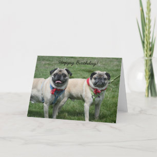 Tarjeta de felicitación de cumpleaños Pug