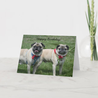 Tarjeta de felicitación de cumpleaños Pug
