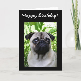 Tarjeta de felicitación de cumpleaños Pug