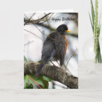 Tarjeta de felicitación de cumpleaños Robin americ