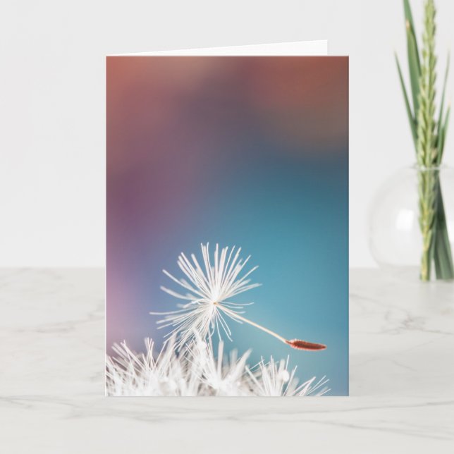 Tarjeta de felicitación de Dandelion (Anverso)