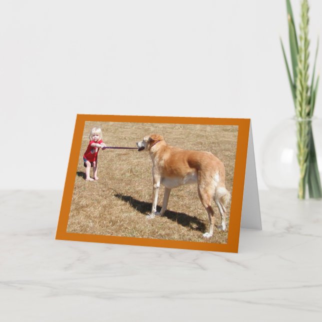 Tarjeta de felicitación de determinación (Anverso)