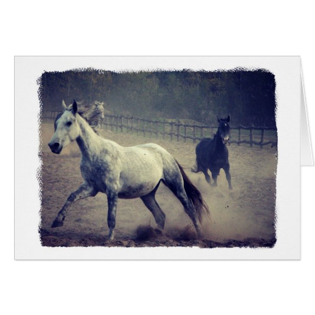 Tarjeta de felicitación de dos caballos de todo ti (Anverso (Horizontal))