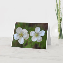 Tarjeta de felicitación de dos flores blancas