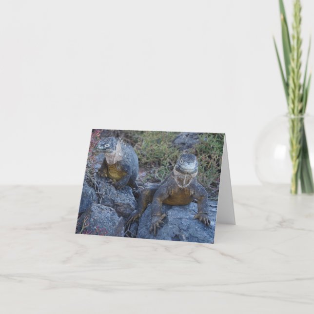 Tarjeta de felicitación de dos iguanas (Anverso)