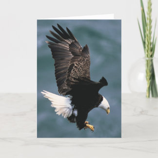 Tarjeta de felicitación de Eagle calvo