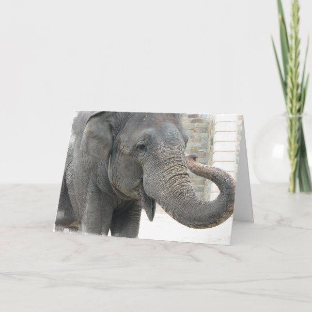 Tarjeta de felicitación de Elephant Trumpet (Anverso)
