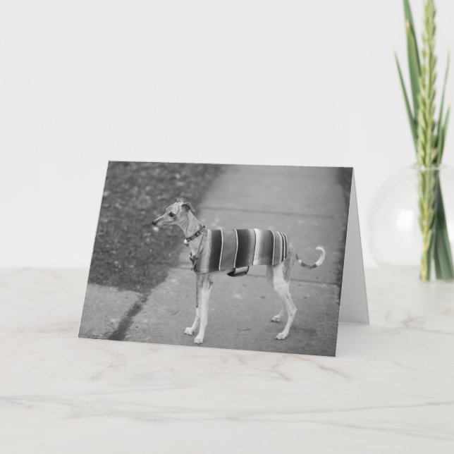 Tarjeta de felicitación de Enzo (Anverso)