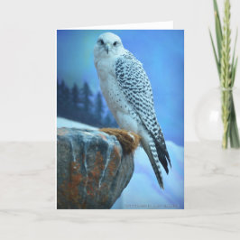 Tarjeta de felicitación de Falcon Ártico