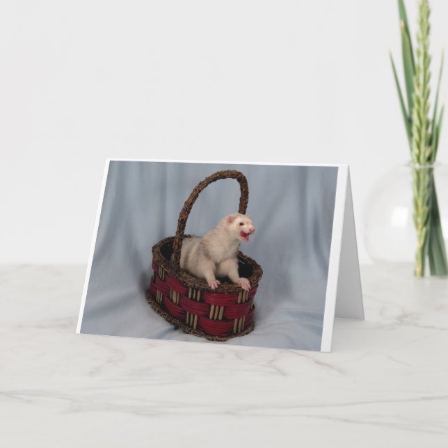 Tarjeta de felicitación de ferret (Anverso)