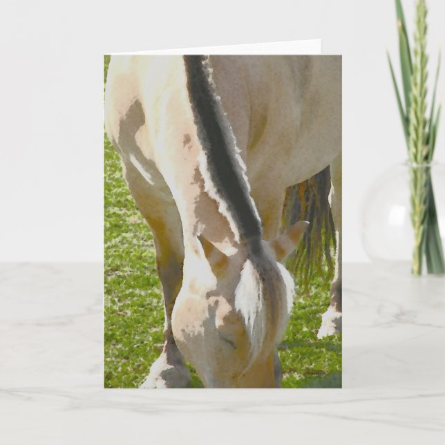 Tarjeta de felicitación de fiordo (Anverso)