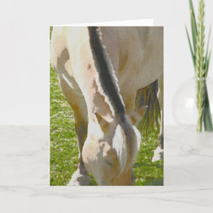 Tarjeta de felicitación de fiordo