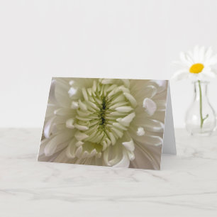 Tarjeta de Felicitación de Flor