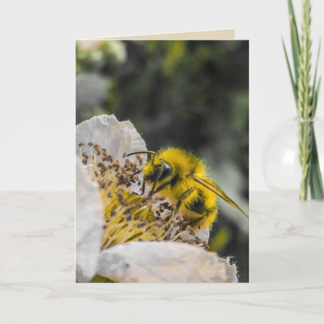 Tarjeta de felicitación de flor blanca (Anverso)