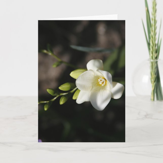 Tarjeta de felicitación de flor blanca elegante (Anverso)