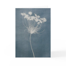 Tarjeta de felicitación de flor con interior en bl