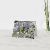 Tarjeta de felicitación de flor de cerezo blanca p