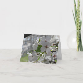 Tarjeta de felicitación de flor de cerezo blanca p