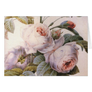 Tarjeta de felicitación de flor de clavel de Rosa 