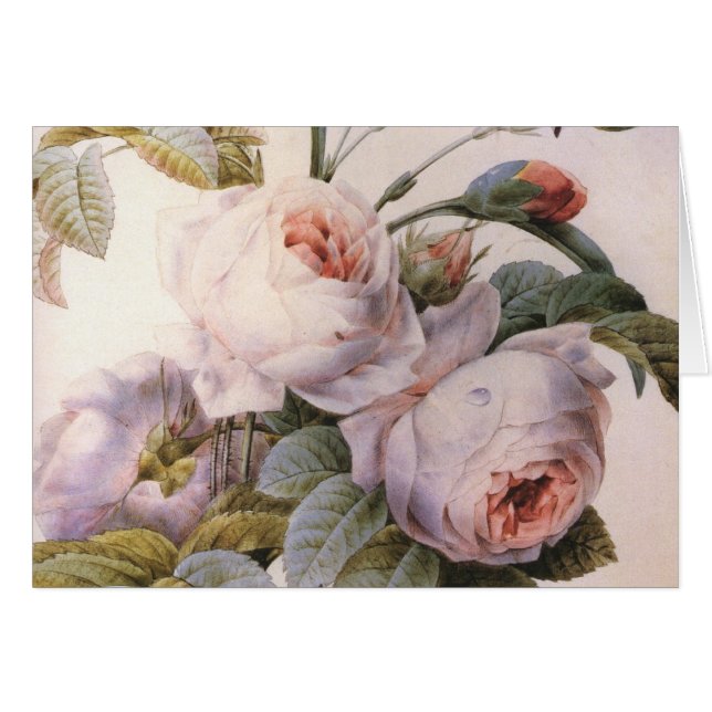 Tarjeta de felicitación de flor de clavel de Rosa  (Anverso (Horizontal))