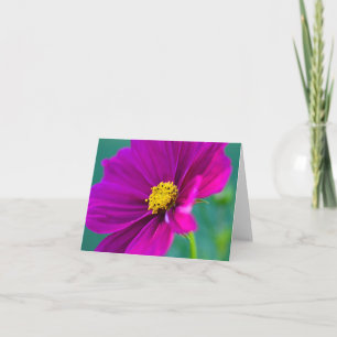 Tarjeta de felicitación de flor de Cosmos púrpura