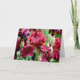 Tarjeta de felicitación de flor de lirio borgoña (