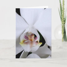 Tarjeta de felicitación de flor de orquídea blanca