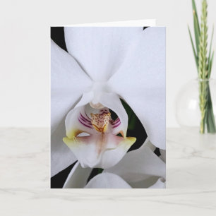 Tarjeta de felicitación de flor de orquídea blanca