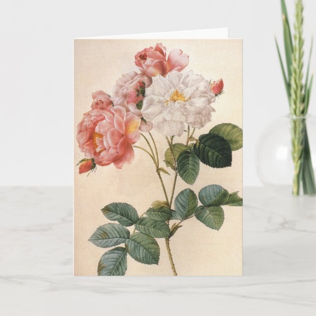 Tarjeta de felicitación de flor de Rosa de Arte Vi (Anverso)