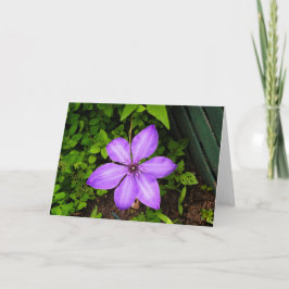 Tarjeta de felicitación de flor púrpura