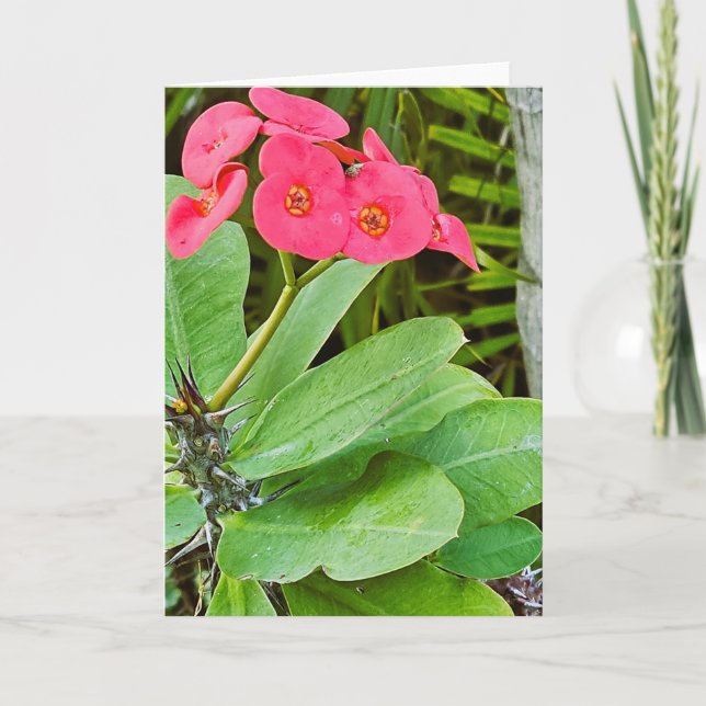 Tarjeta de felicitación de flor rosa (Anverso)