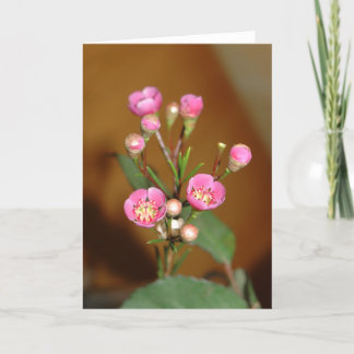 Tarjeta de felicitación de flor rosa