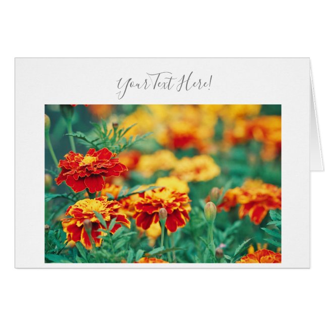 Tarjeta de felicitación de flores de maravilla de  (Anverso (Horizontal))