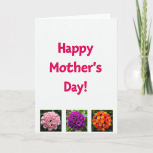 Tarjeta de Felicitación de Flores Fucsias
