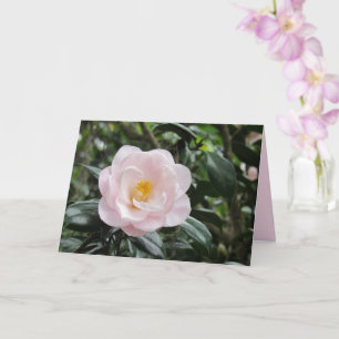 Tarjeta de felicitación de flores Magnoliaeflora C