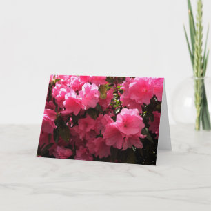Tarjeta de felicitación de flores rosadas