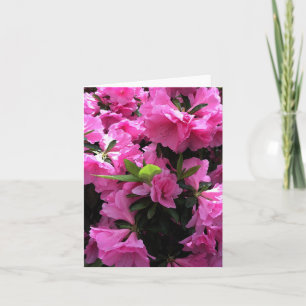 Tarjeta de felicitación de flores rosadas