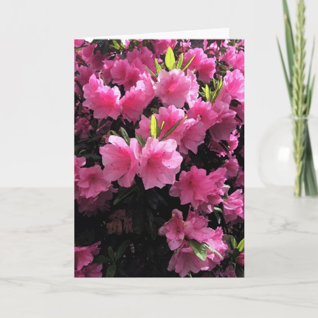 Tarjeta de felicitación de flores rosadas (Anverso)