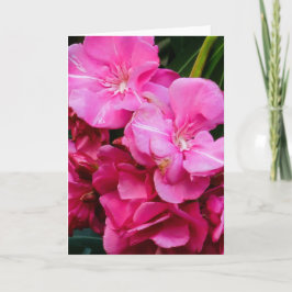 Tarjeta de felicitación de flores rosas