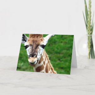 Tarjeta de felicitación de foto de Giraffe
