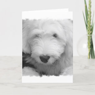 Tarjeta de felicitación de foto de perro de oveja