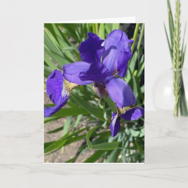 Tarjeta de felicitación de fotografía de flor de i (Anverso)