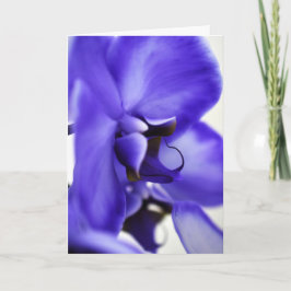 Tarjeta de felicitación de fotografía floral Orchi