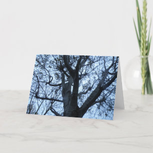 Tarjeta de felicitación de fotografías de silueta 